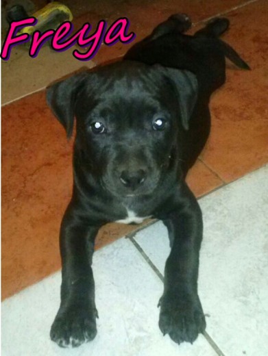 mi bebe <3 mi bebe <3